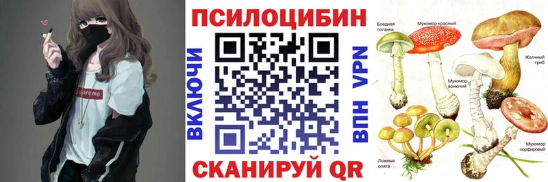 Галлюциногенные грибы Psilocybe  продажа наркотиков  Красноуральск 